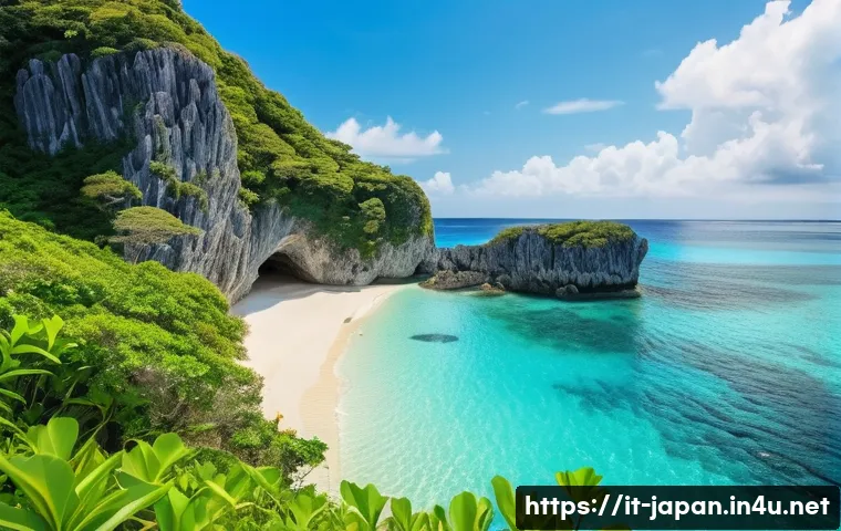 일본 오키나와 해변 추천 - A hidden beach in Okinawa during early morning, featuring pristine white sand and crystal-clear turq...